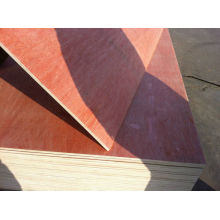 PLYWOOD FOR NIGERIA MARKET